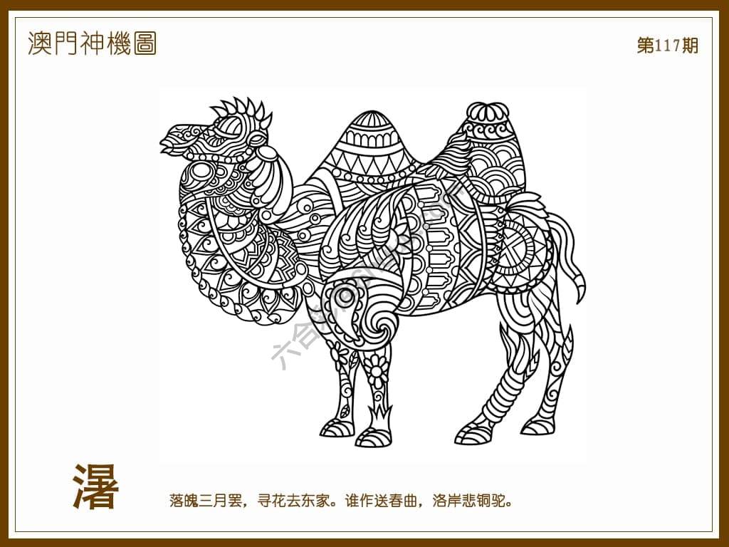 澳门神机图