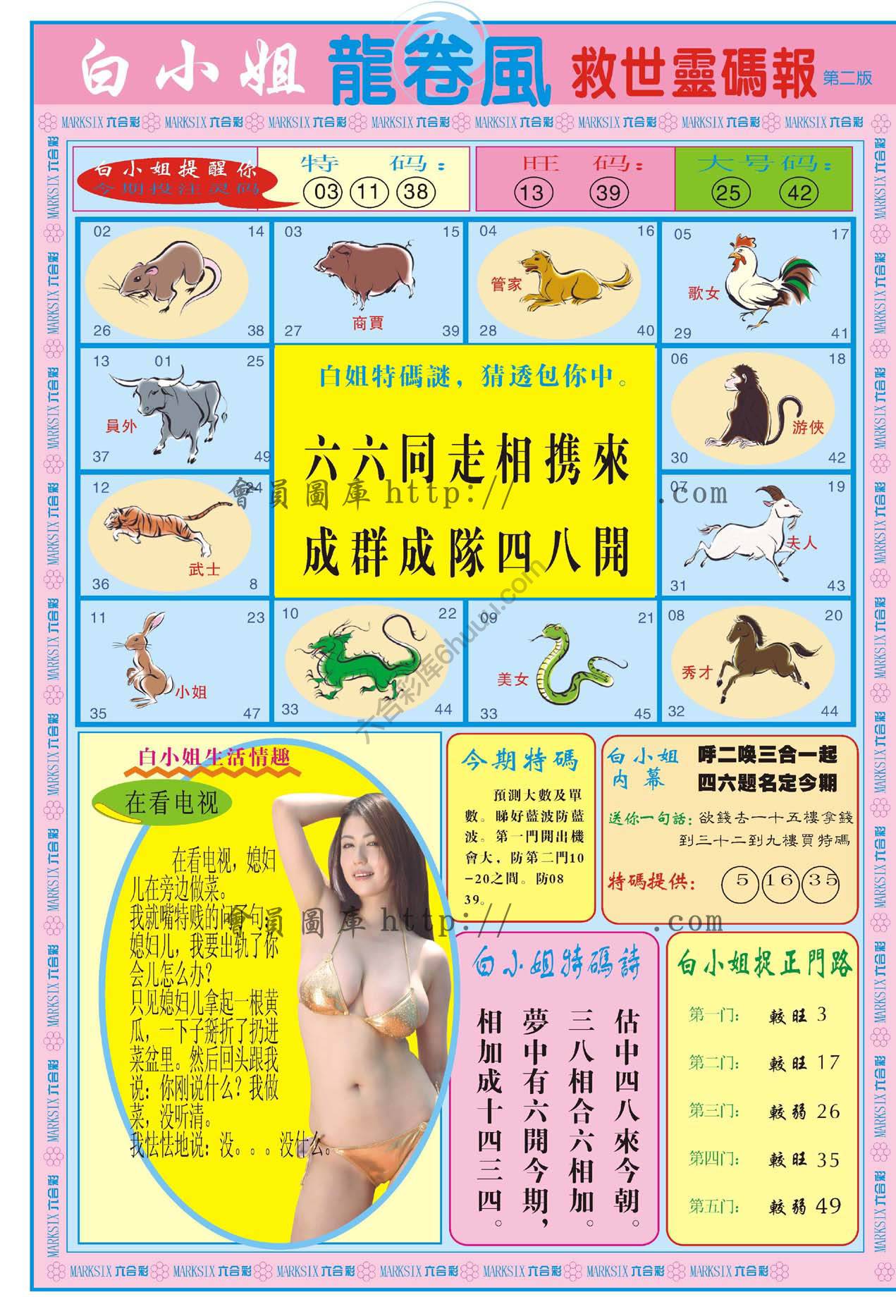 白小姐龙卷风