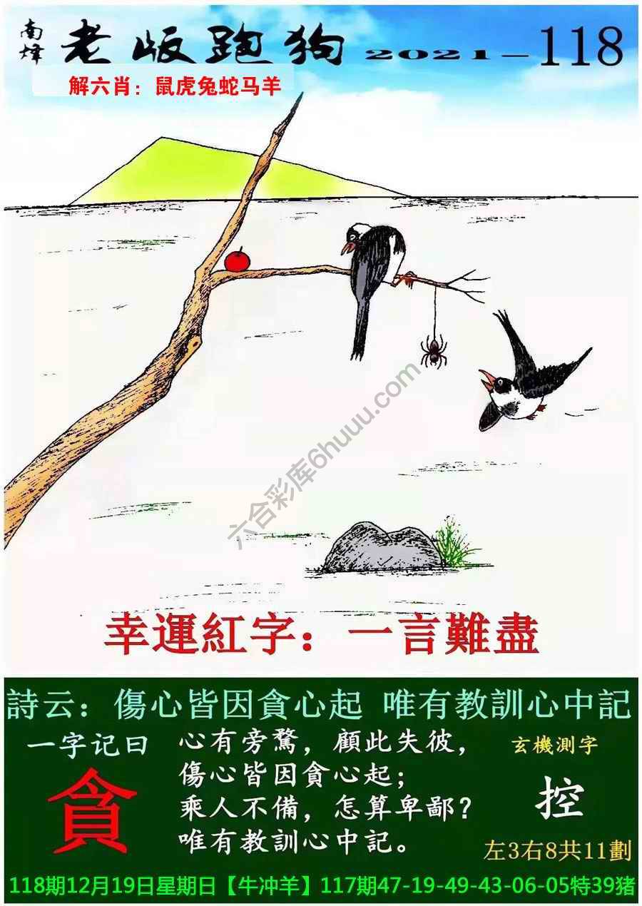 老版跑狗图