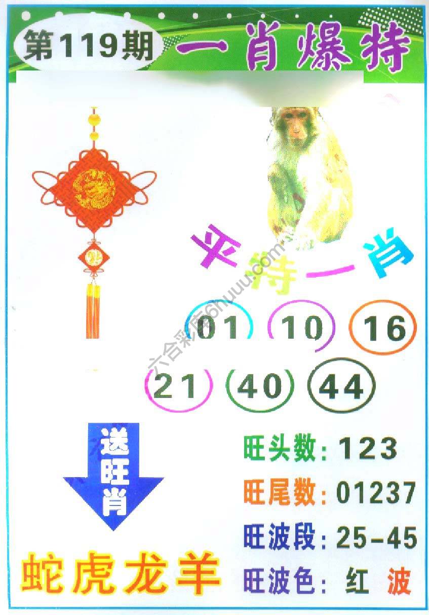 一肖爆特（新版）