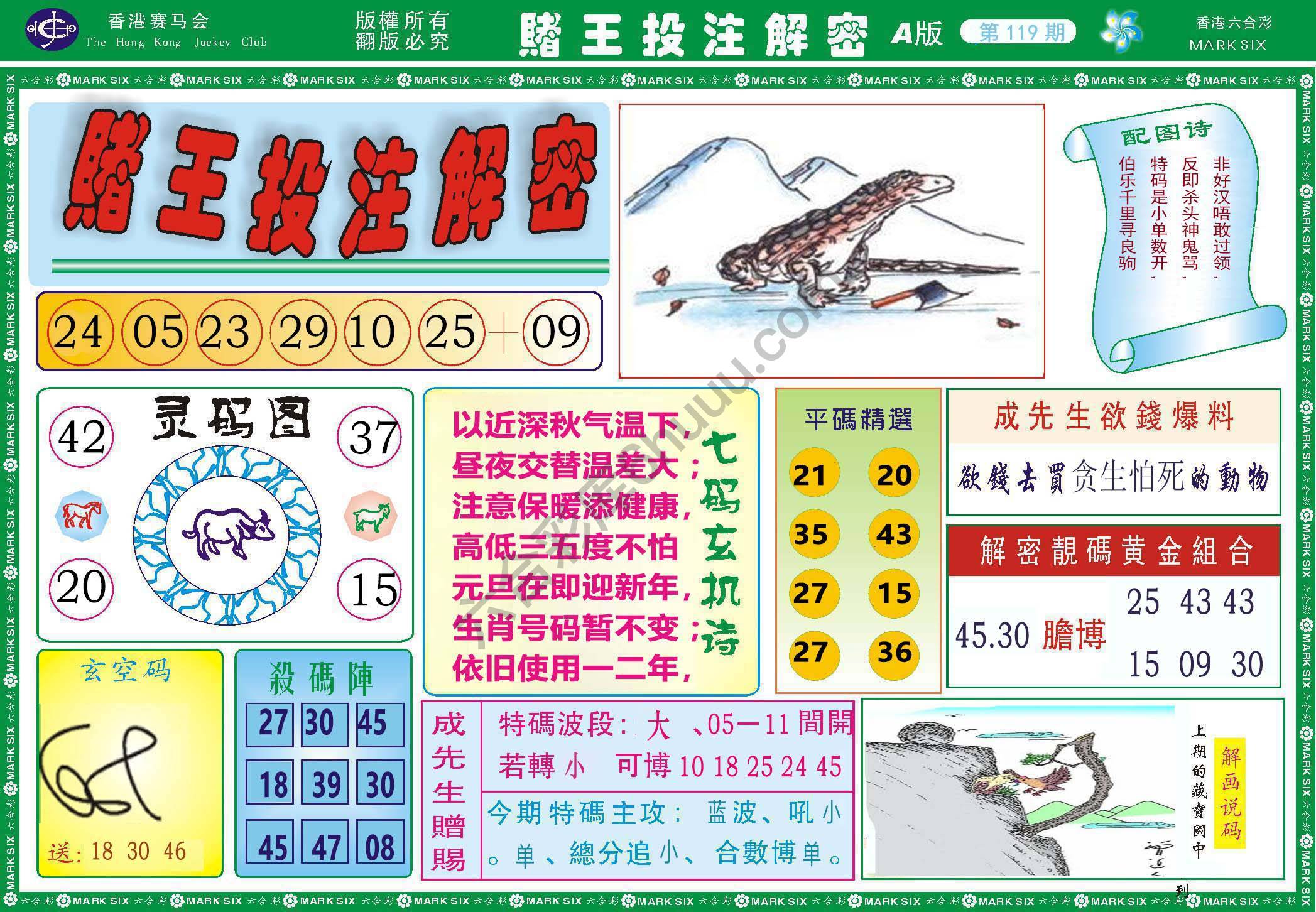 赌王投注解密