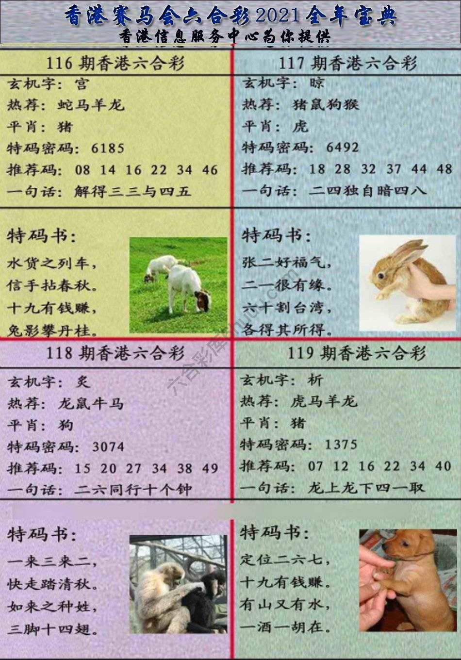宝典报