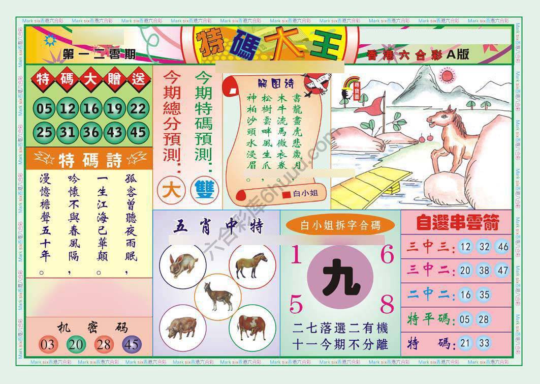 特码大王