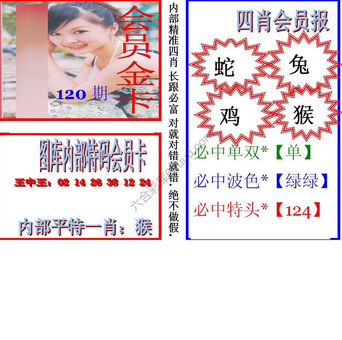马经四肖会员报