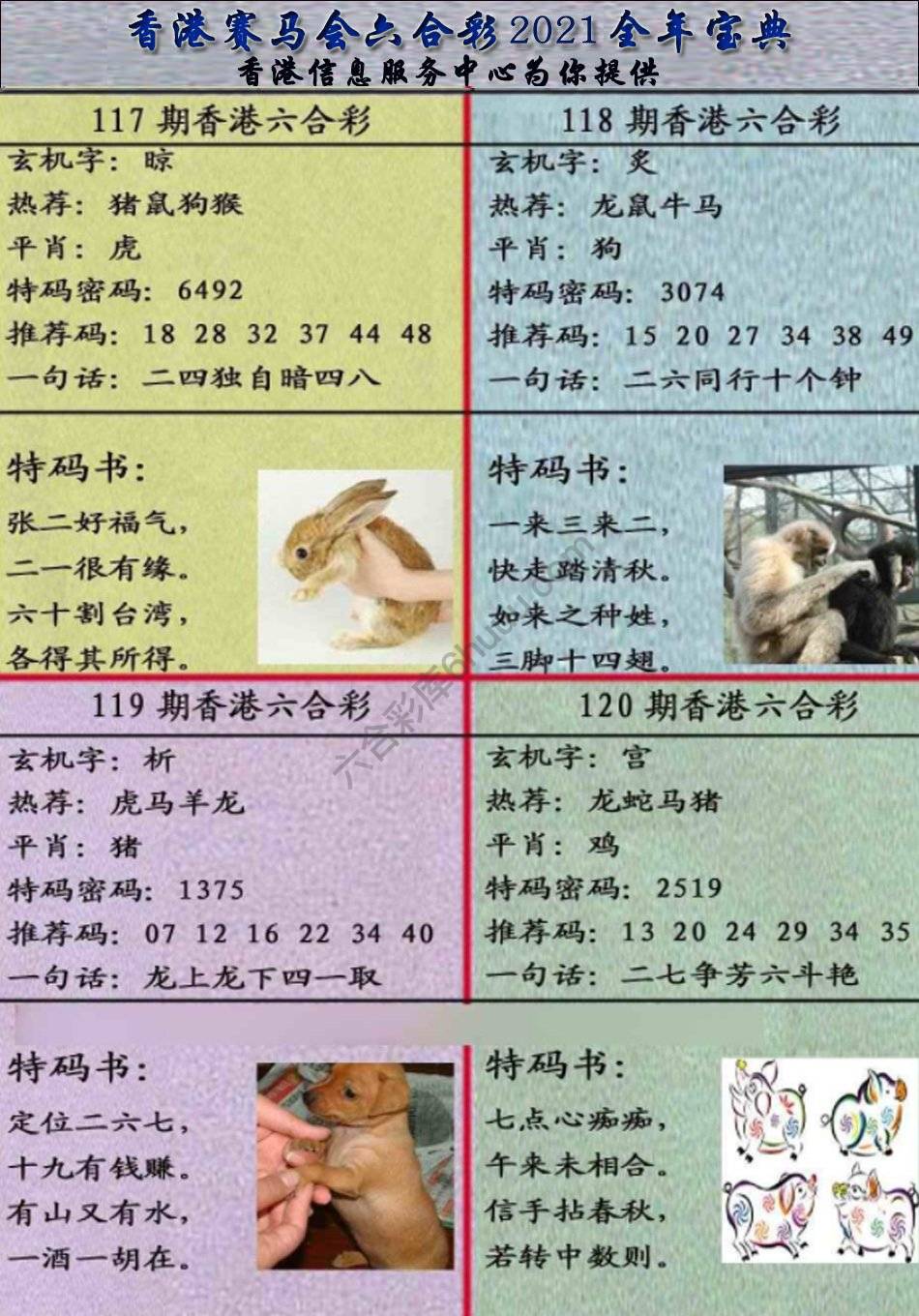 宝典报