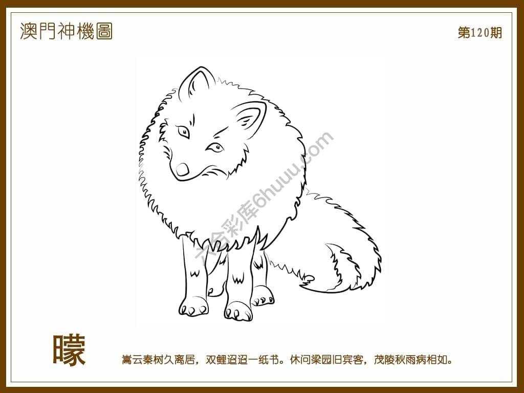 澳门神机图