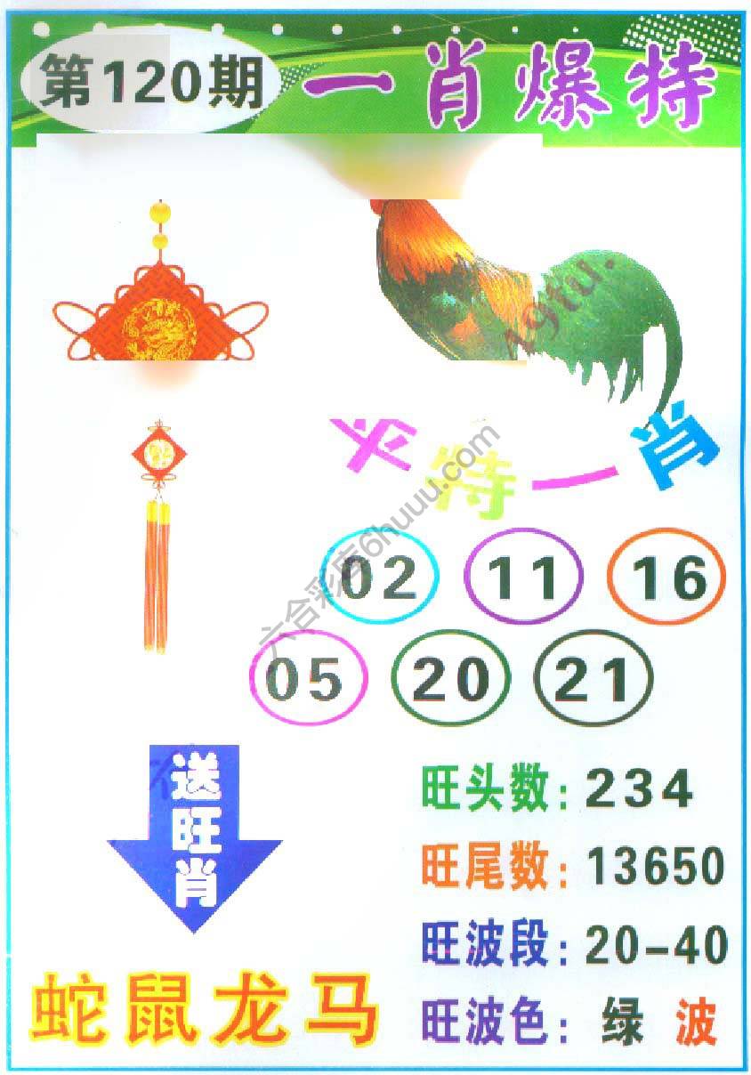 一肖爆特（新版）