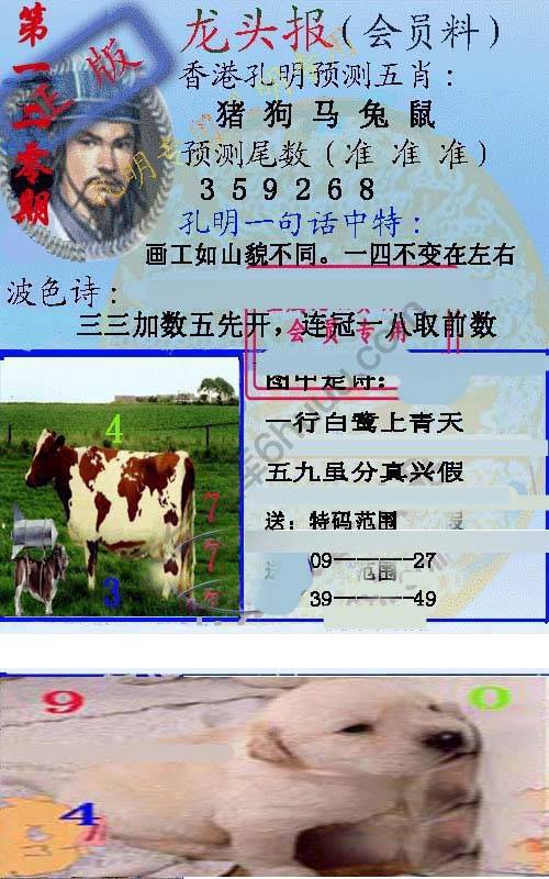 龙头报