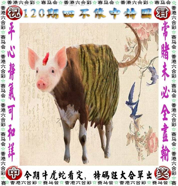 四不像中特图