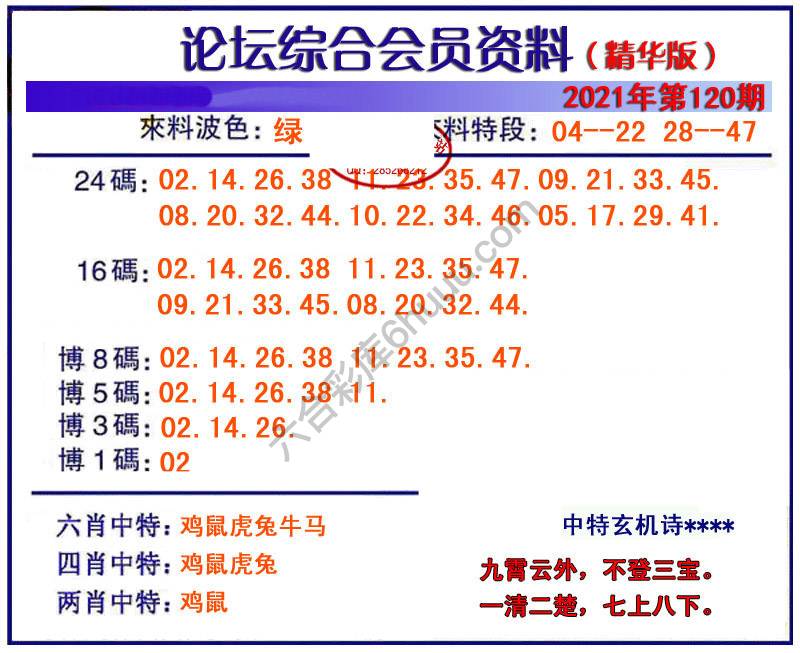 综合会员资料
