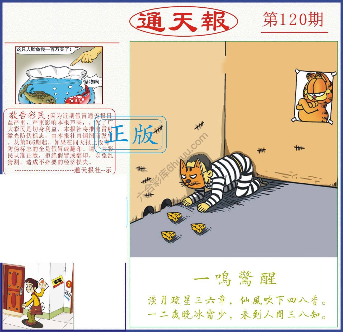 正版通天报