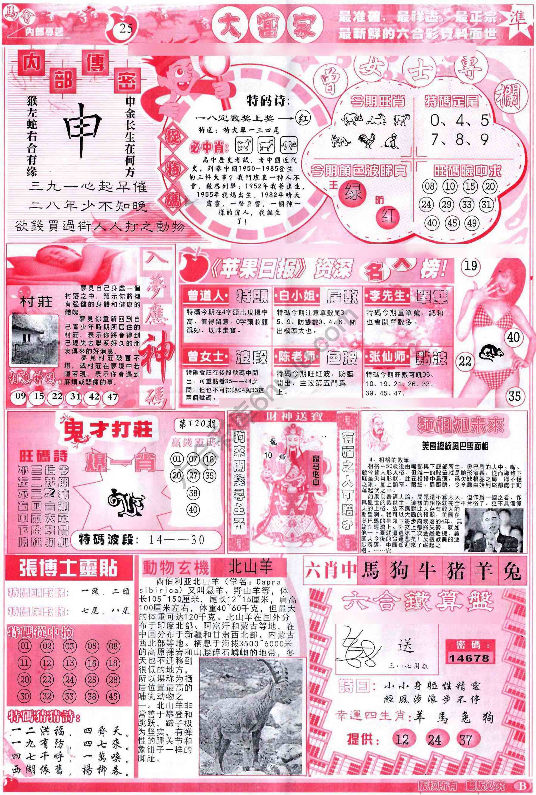 大当家