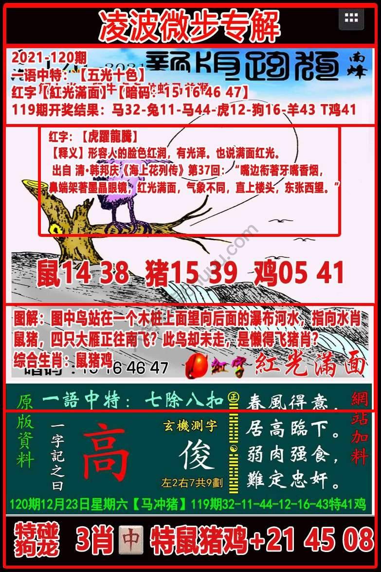 凌波微步解跑狗