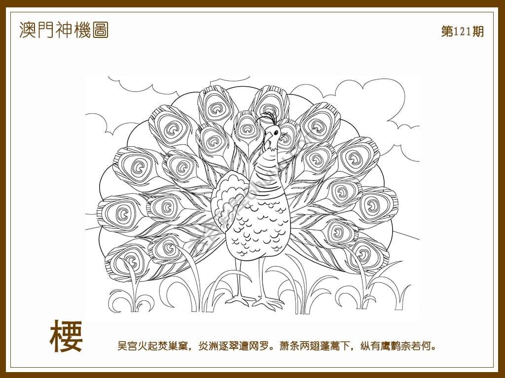 澳门神机图