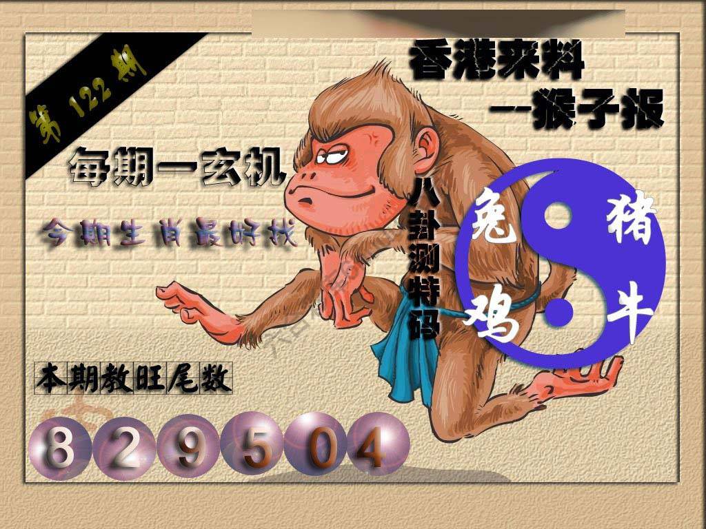 猴子报