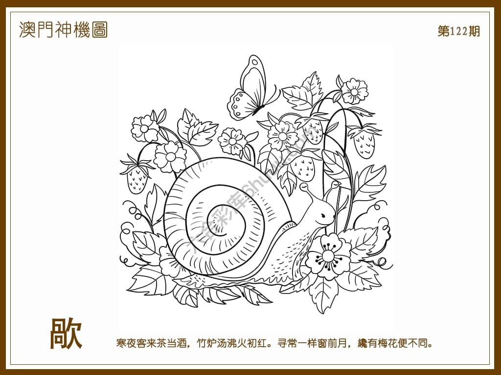 澳门神机图