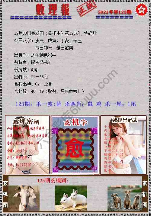 数理报