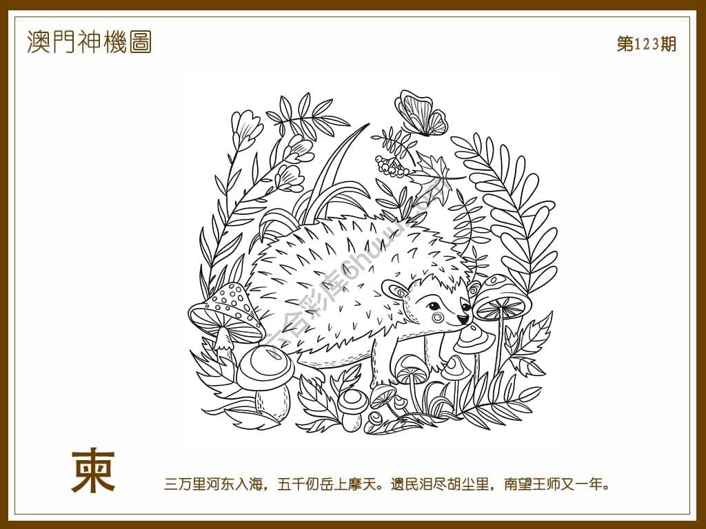 澳门神机图