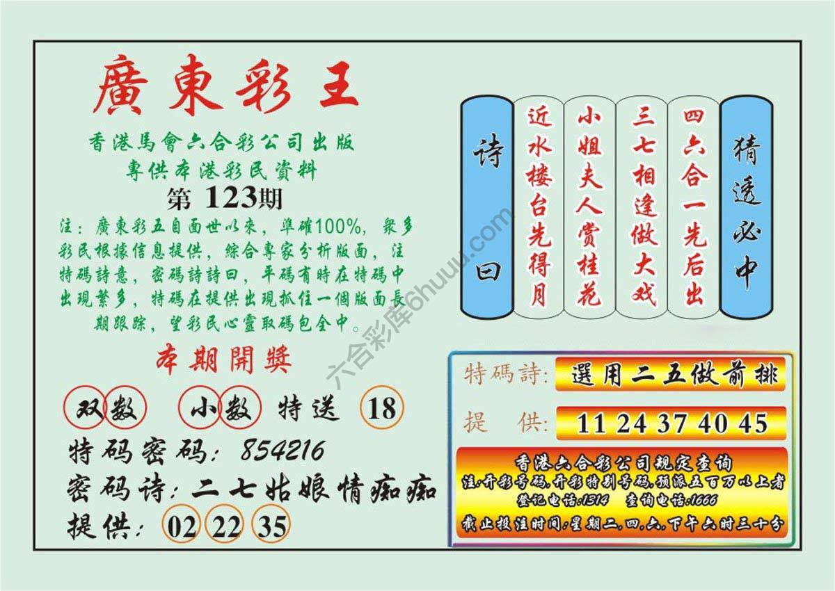 广东彩王