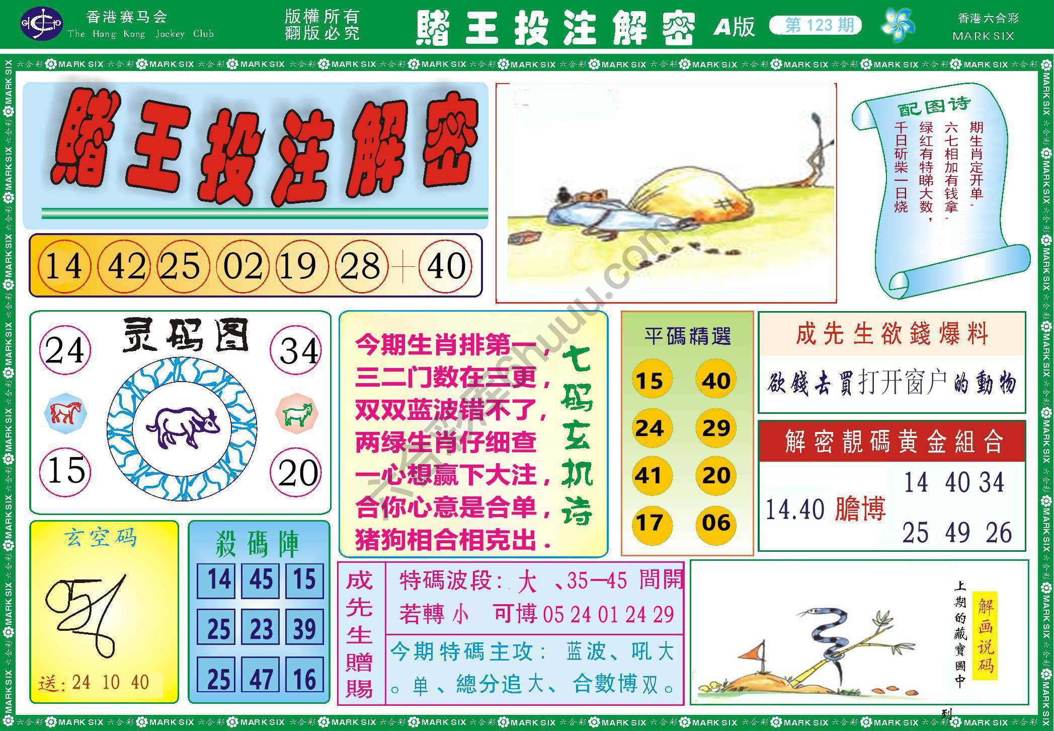 赌王投注解密