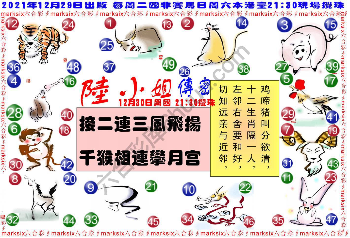 陆小姐传密