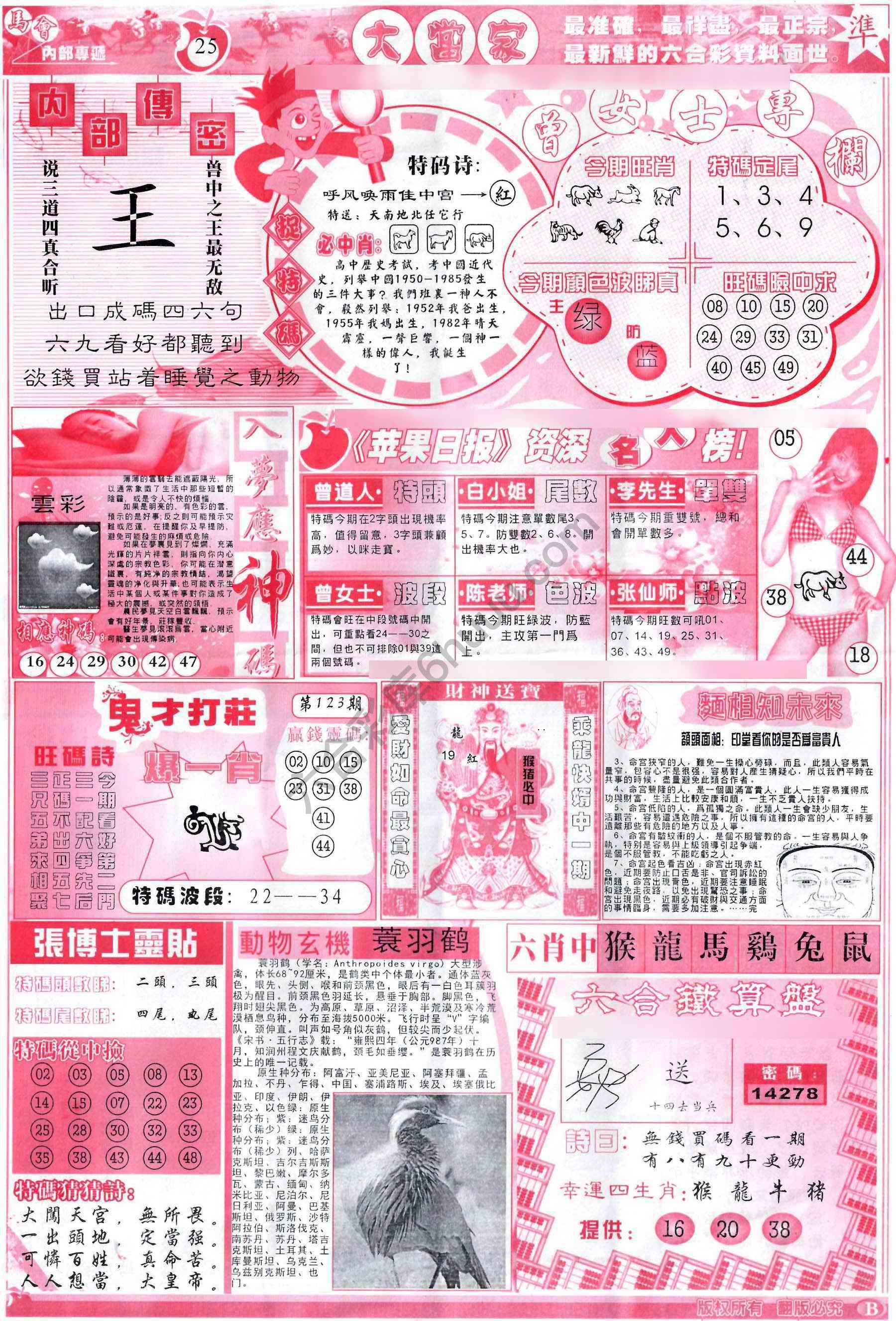 大当家