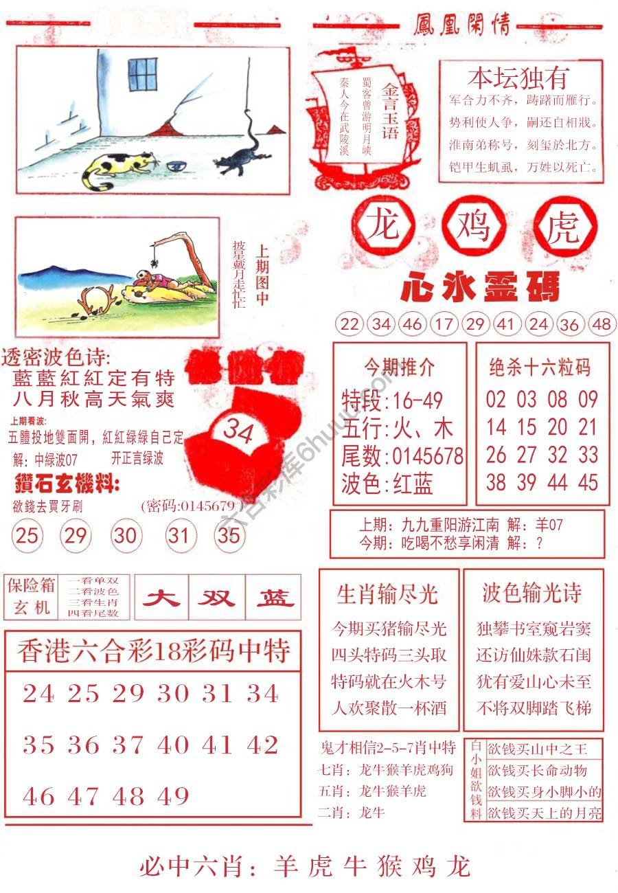 凤凰闲情