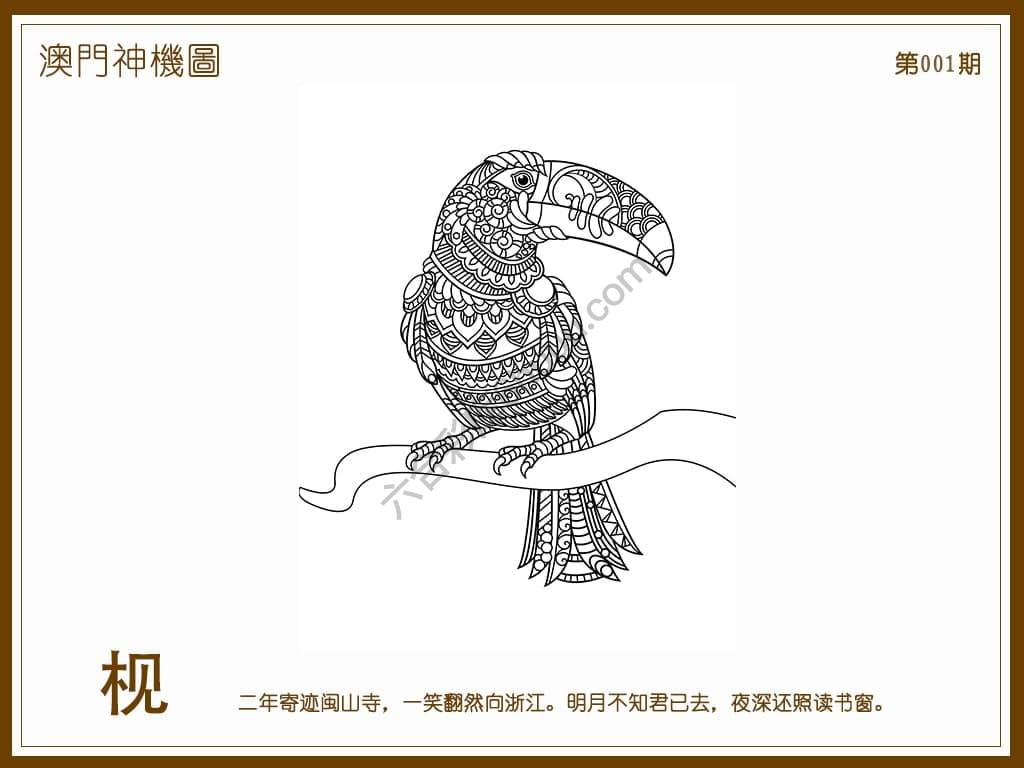 澳门神机图
