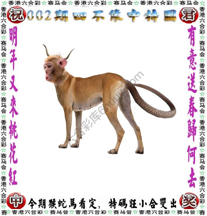 四不像中特图