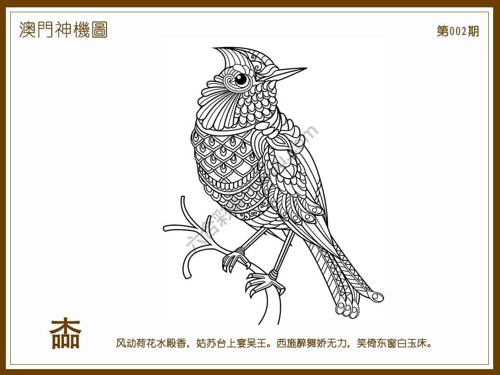 澳门神机图