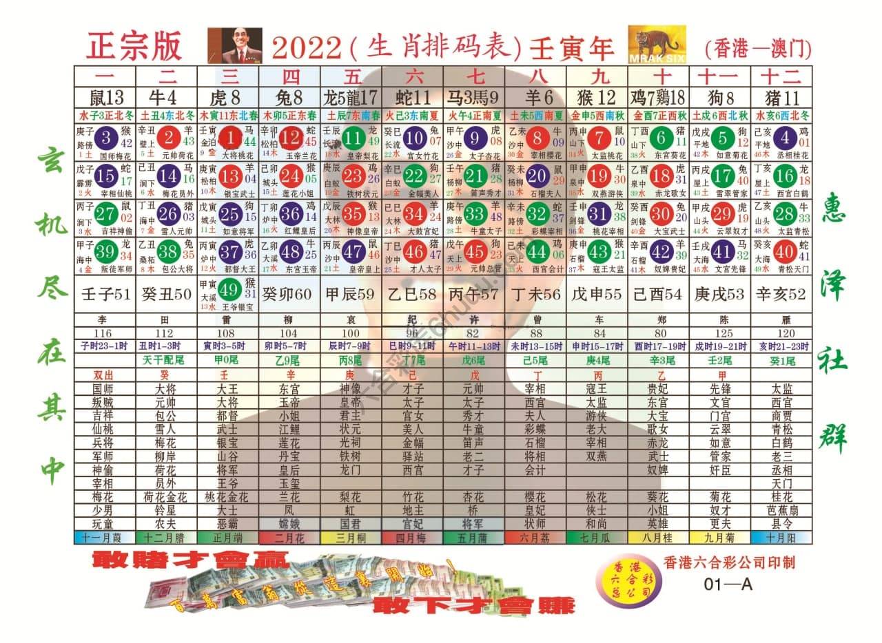 a生肖排码表—第一版（全年）