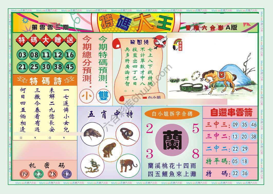 特码大王