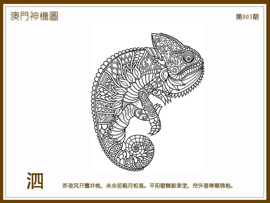 澳门神机图