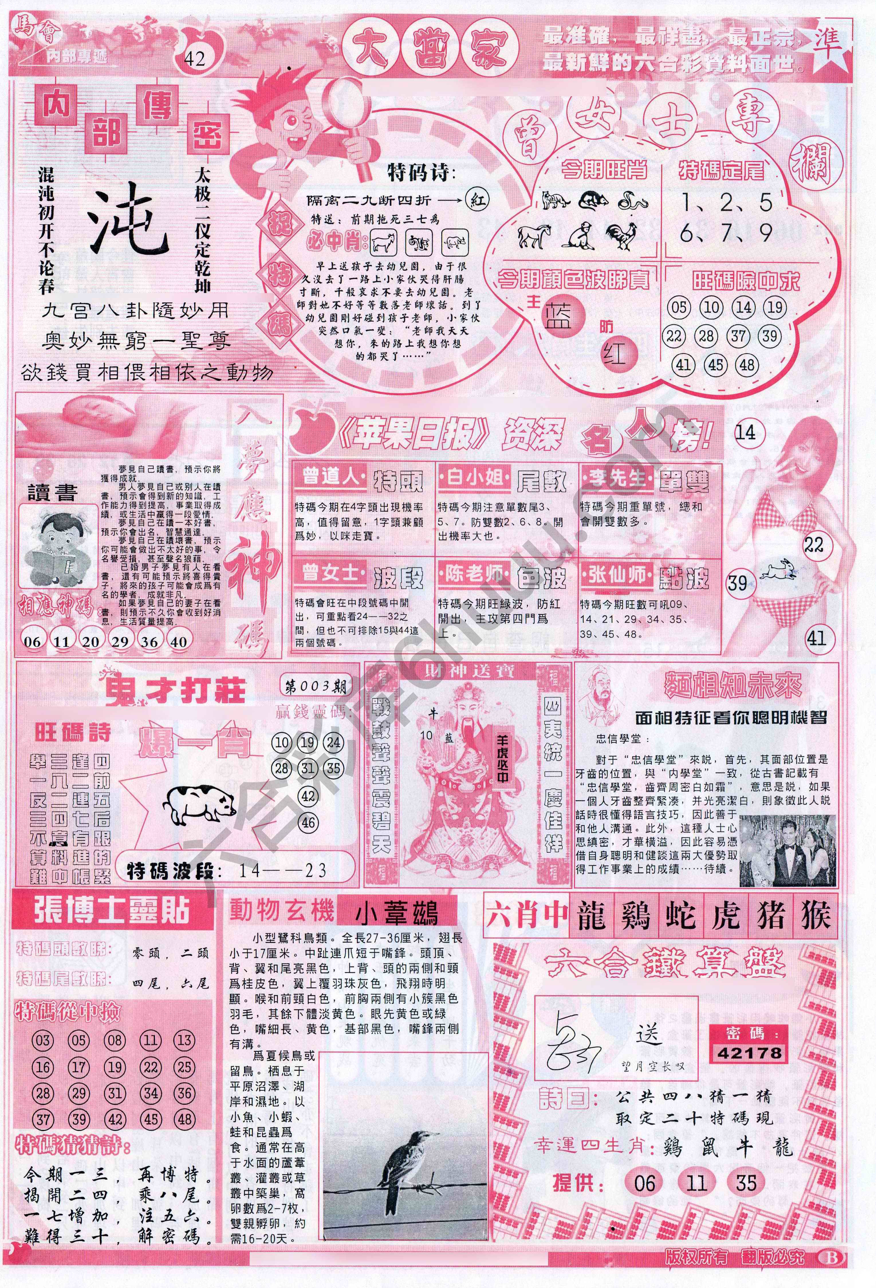 大当家
