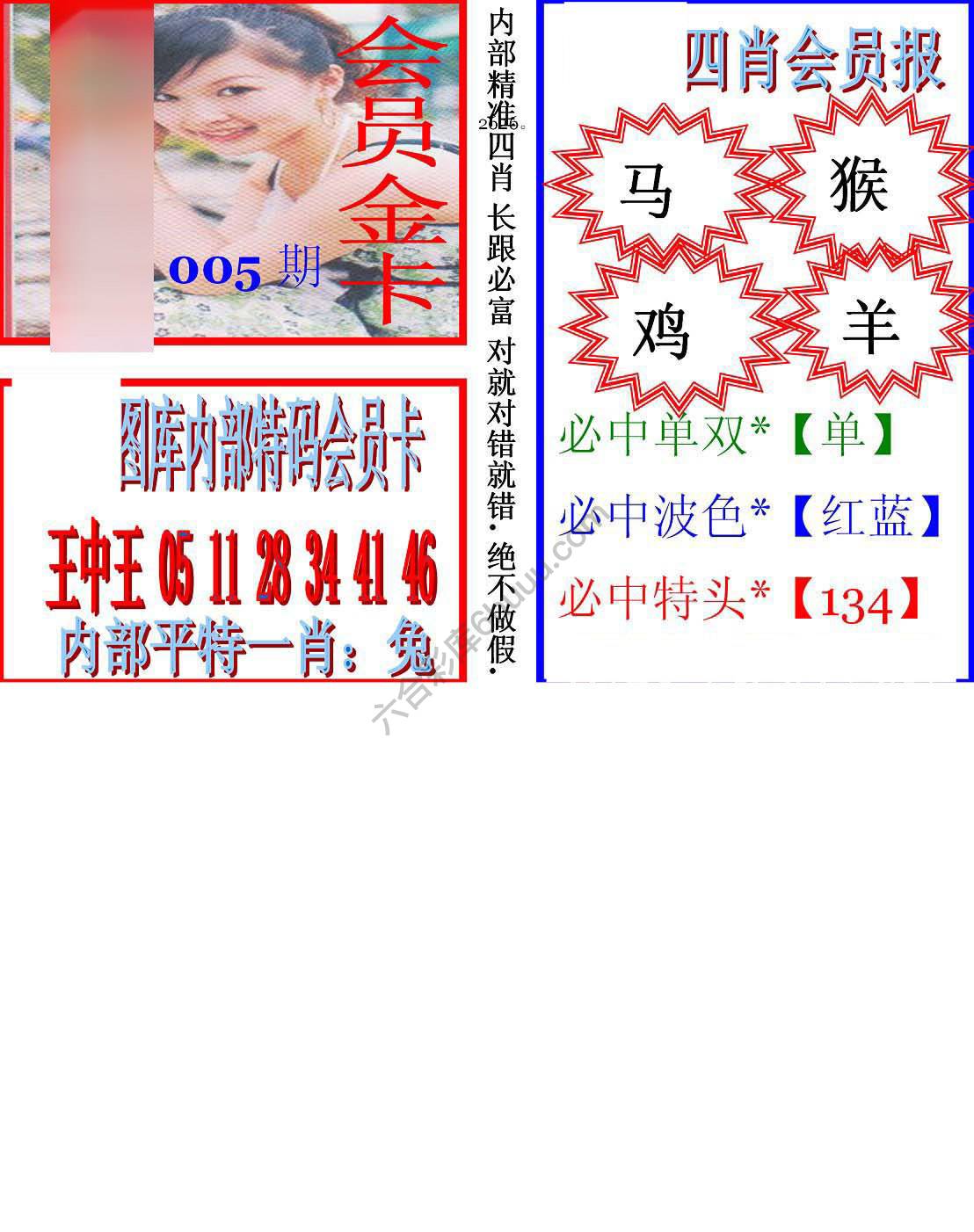 马经四肖会员报