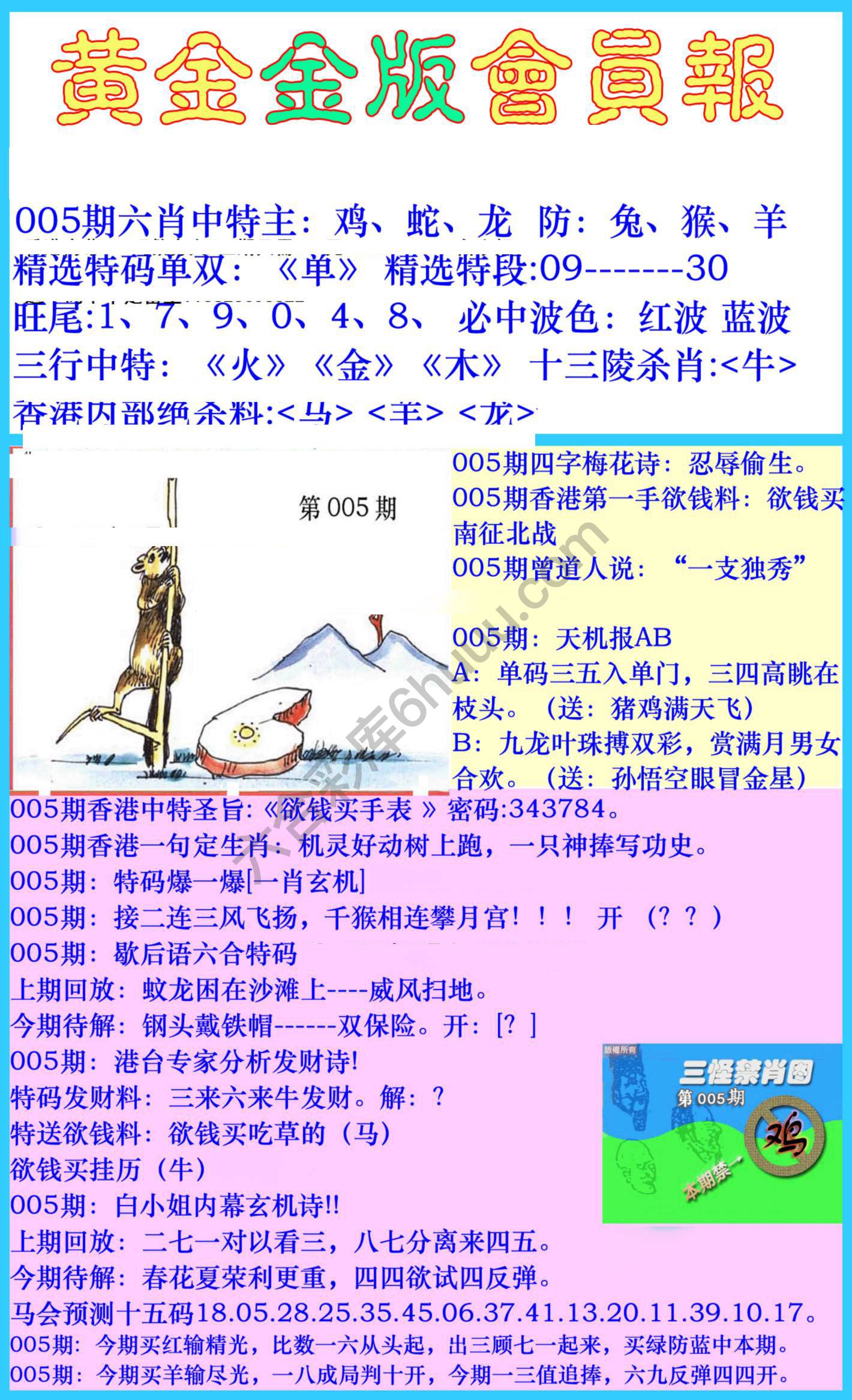 黄金金版会员报
