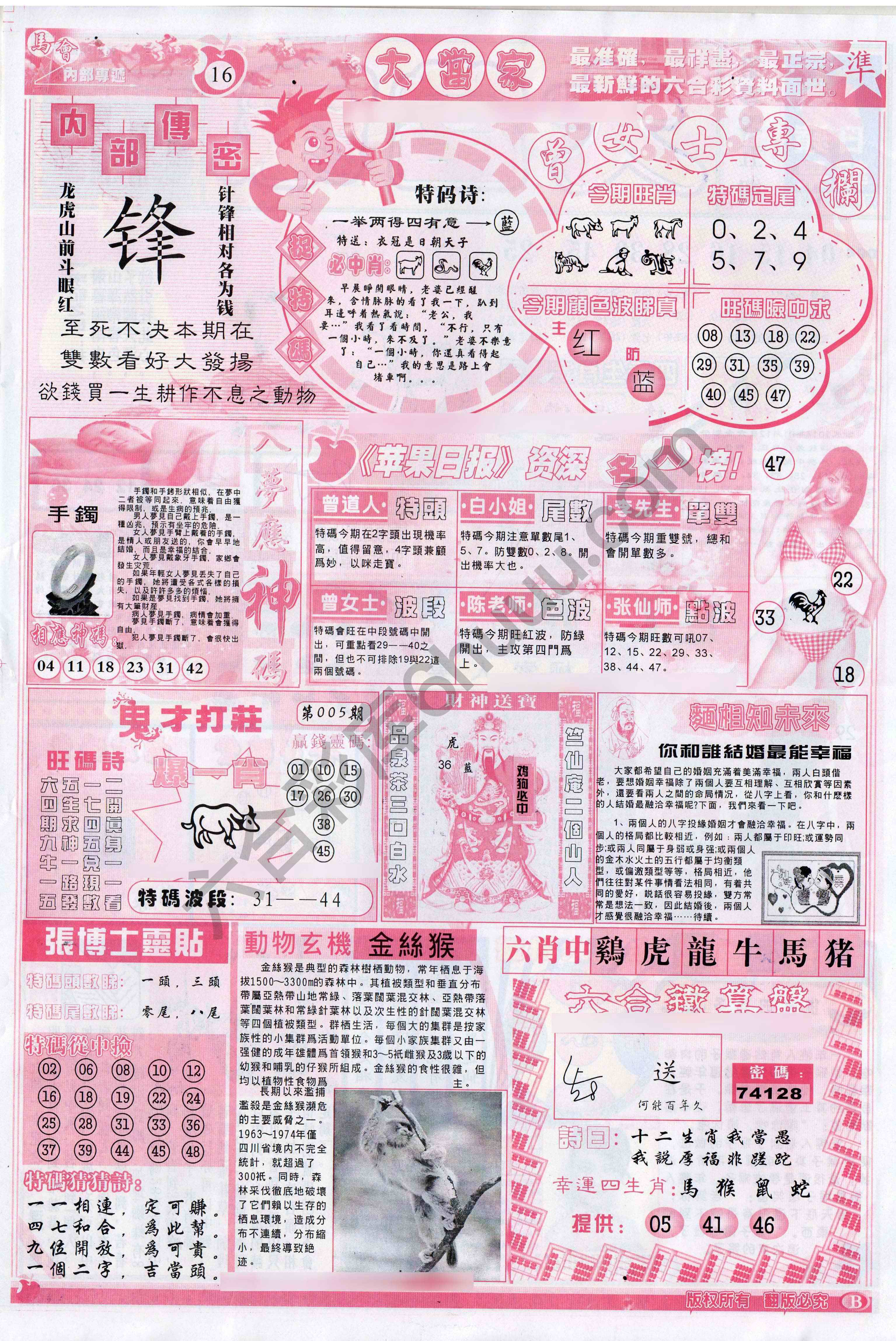 大当家
