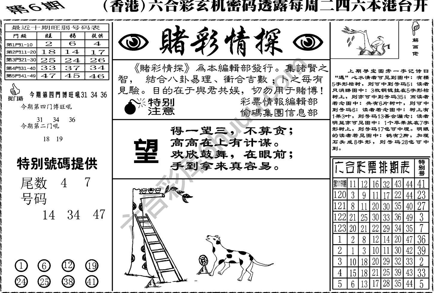 赌彩情探