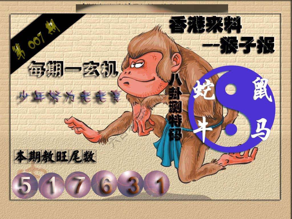 猴子报