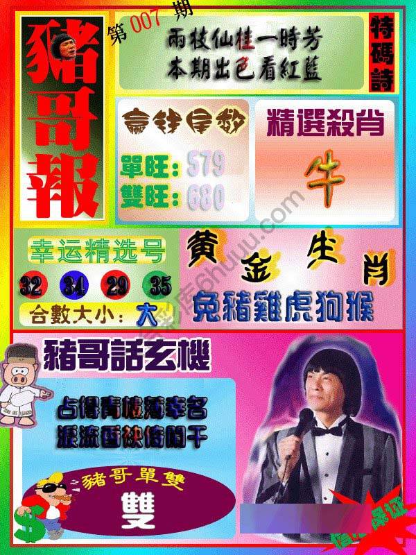 猪哥报