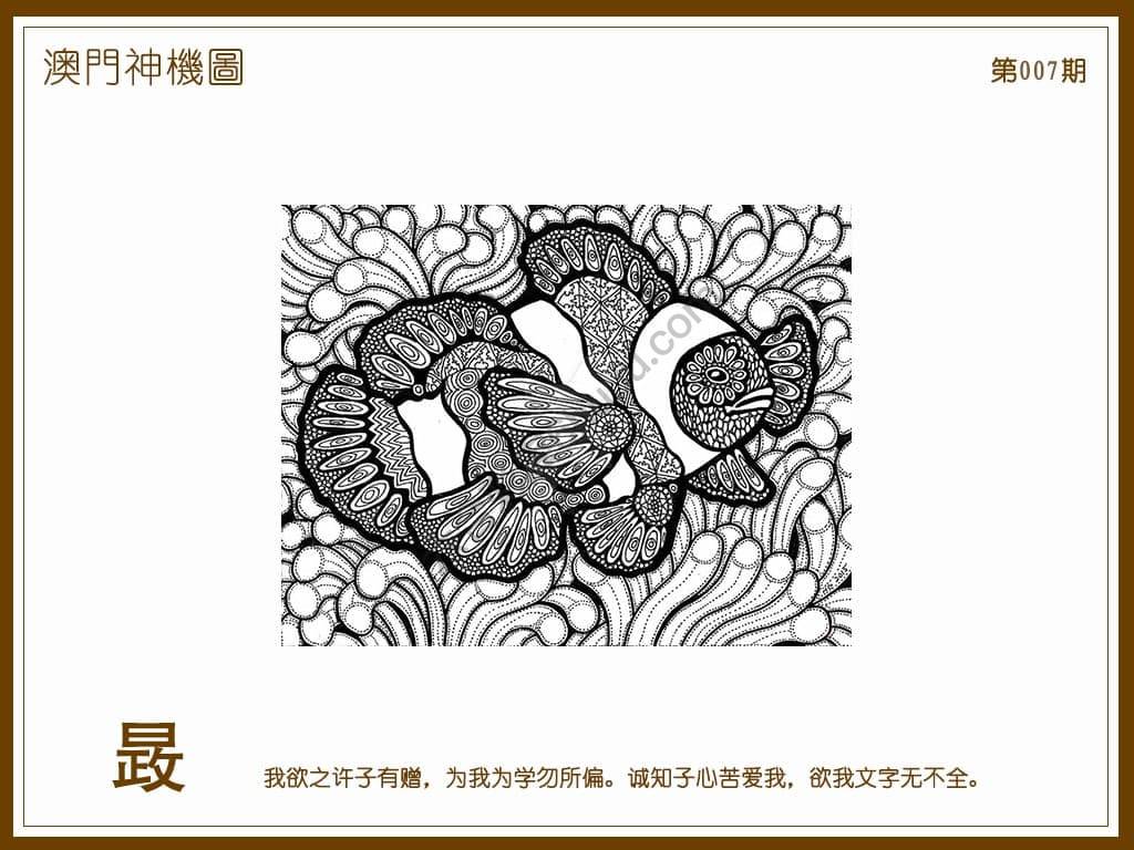 澳门神机图