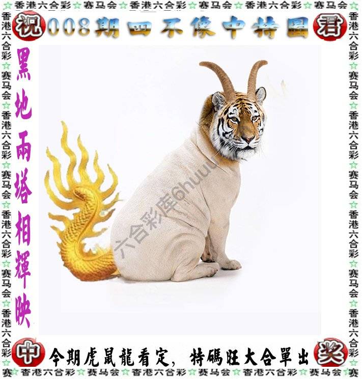四不像中特图