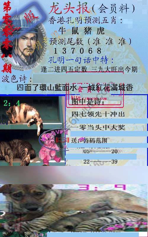 龙头报