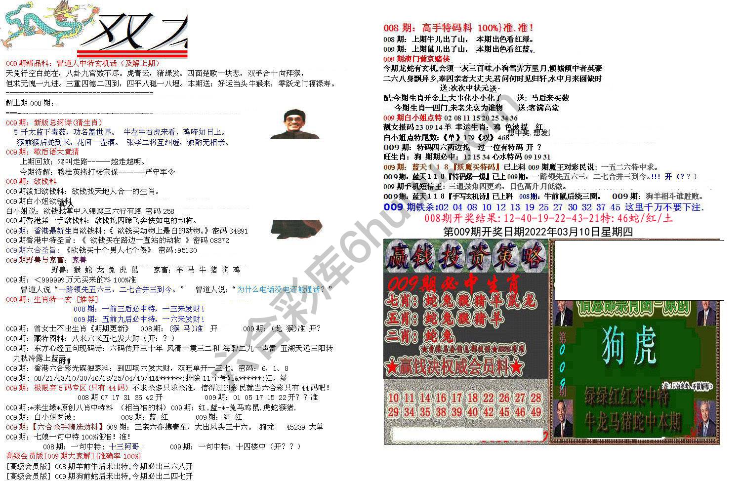 双龙报