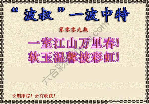 波叔一波中特