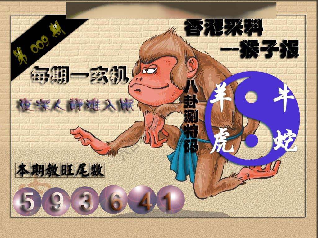 猴子报