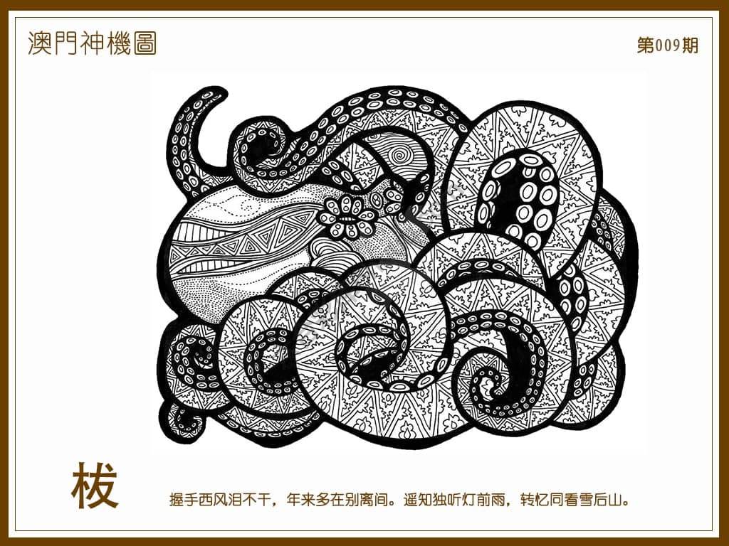 澳门神机图