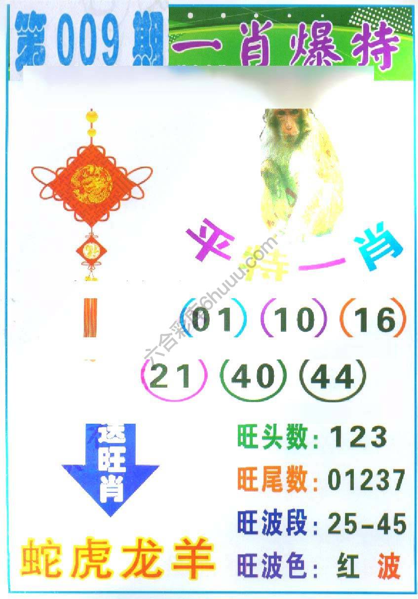 一肖爆特（新版）
