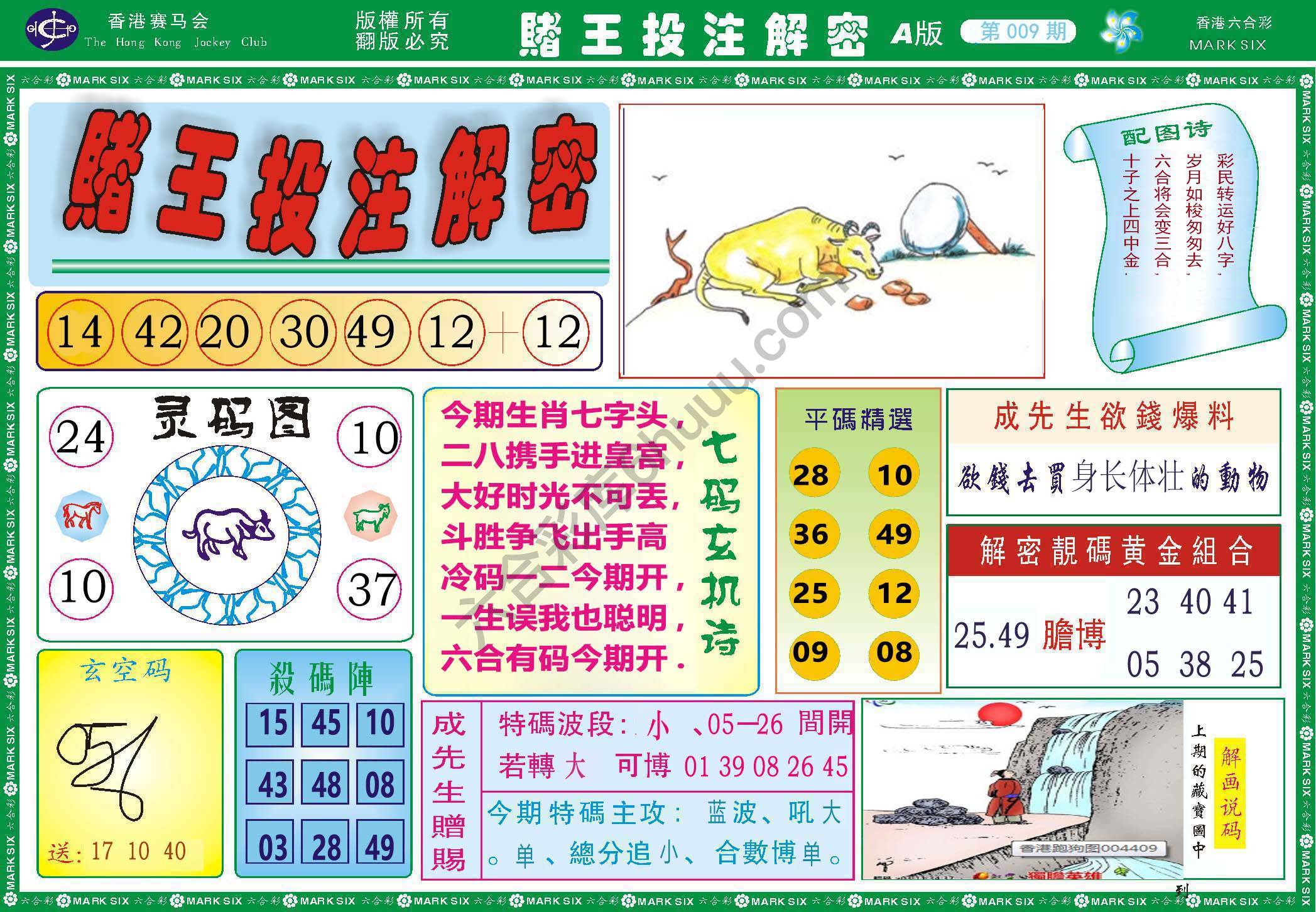 赌王投注解密