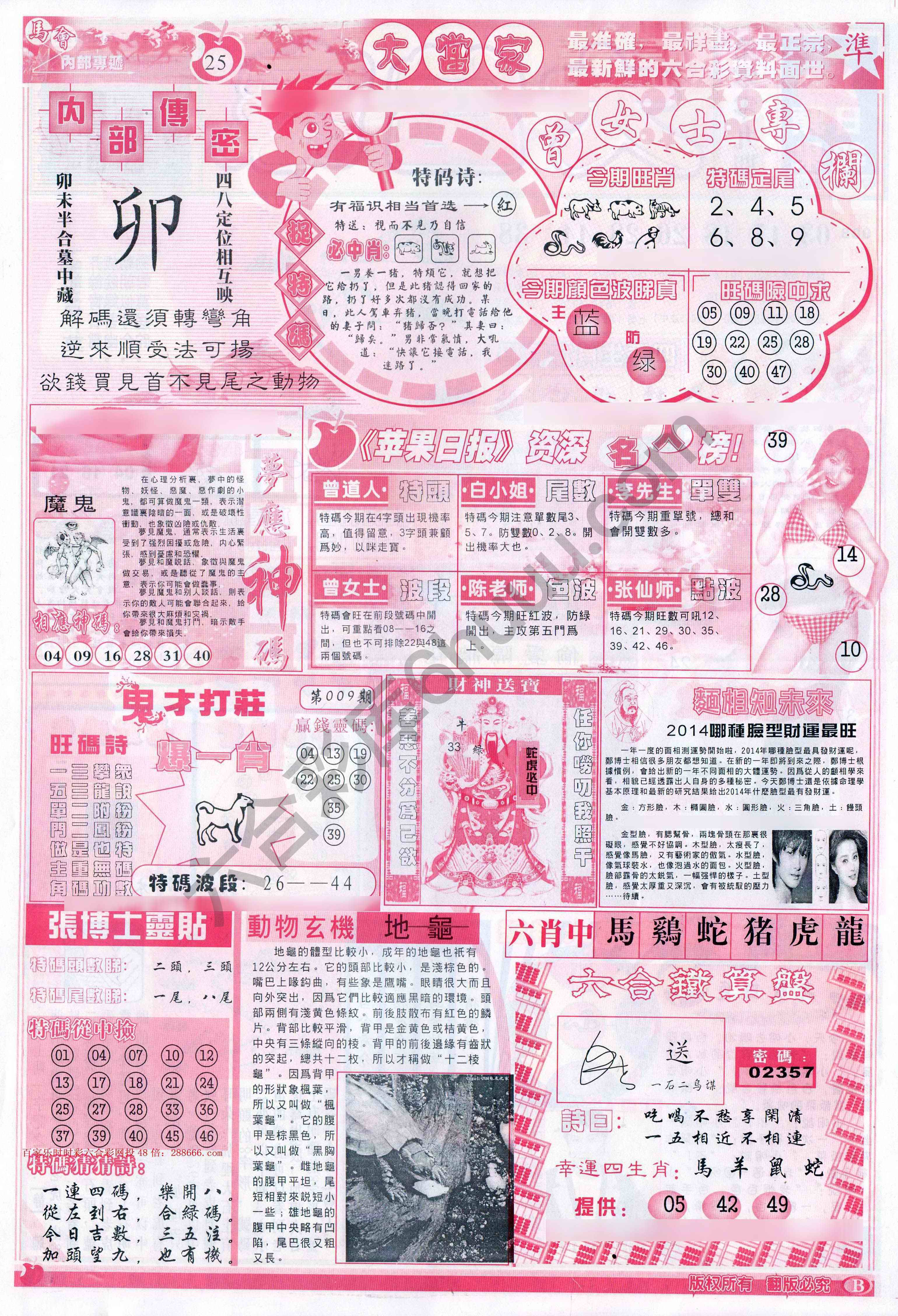 大当家